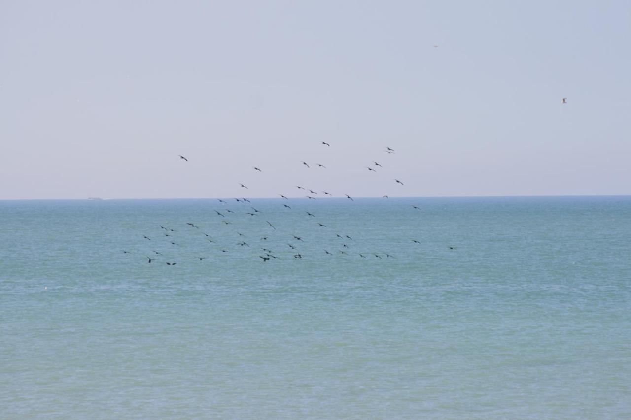 A Cote De La Mer Ault Bagian luar foto